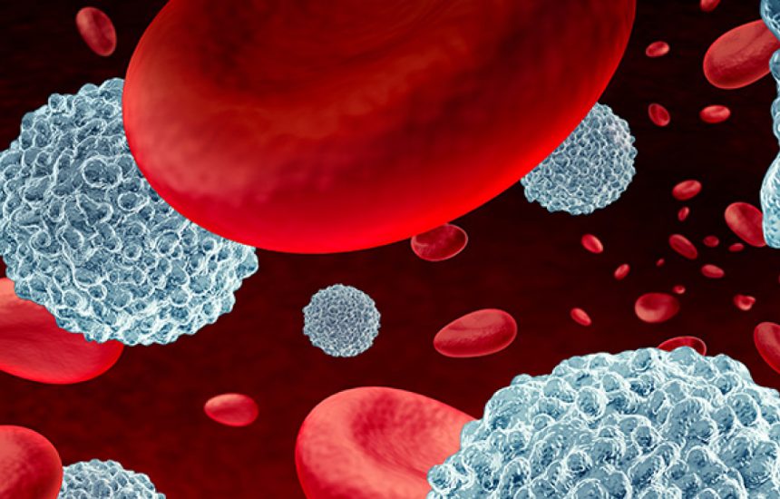 image-10-fragen-blut
